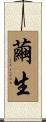 繭生 Scroll