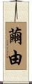繭由 Scroll