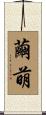繭萌 Scroll