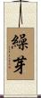 繰芽 Scroll
