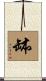 缽 Scroll