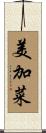 美加菜 Scroll