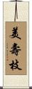美壽枝 Scroll