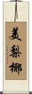 美梨椰 Scroll