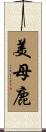 美母鹿 Scroll