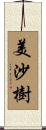 美沙樹 Scroll