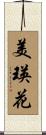 美瑛花 Scroll