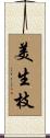 美生枝 Scroll
