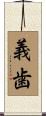 義歯 Scroll