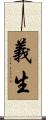 義生 Scroll