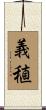 義稙 Scroll
