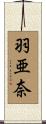 羽亜奈 Scroll
