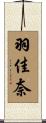 羽佳奈 Scroll
