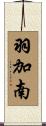 羽加南 Scroll