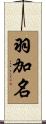 羽加名 Scroll