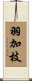 羽加枝 Scroll