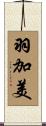 羽加美 Scroll
