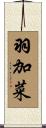 羽加菜 Scroll
