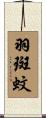 羽斑蚊 Scroll