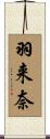 羽来奈 Scroll