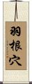 羽根穴 Scroll