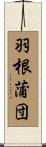 羽根蒲団 Scroll