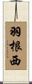 羽根西 Scroll