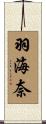 羽海奈 Scroll