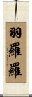 羽羅羅 Scroll