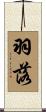 羽落 Scroll