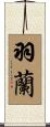 羽蘭 Scroll