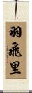 羽飛里 Scroll