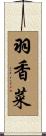 羽香菜 Scroll