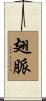 翅脈 Scroll