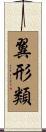 翼形類 Scroll