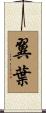 翼葉 Scroll