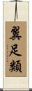 翼足類 Scroll