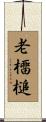 老橊槌 Scroll