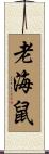 老海鼠 Scroll