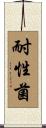 耐性菌 Scroll