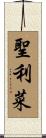 聖利菜 Scroll
