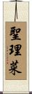 聖理菜 Scroll