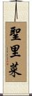 聖里菜 Scroll