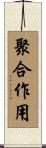 聚合作用 Scroll