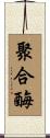 聚合酶 Scroll