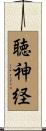 聴神経 Scroll