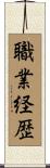 職業経歴 Scroll