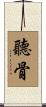 聽骨 Scroll