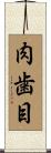 肉歯目 Scroll