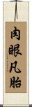 肉眼凡胎 Scroll